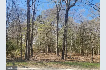 Tower Road, Brandywine, MD 20613 - Photo 5