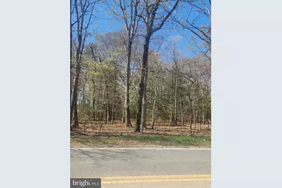 Tower Road, Brandywine, MD 20613 - Photo 3