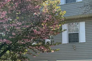 3135 Forest Run Dr, District Heights, MD 20747 - Photo 1