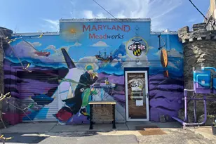 5714 45th Ave, Hyattsville, MD 20781 - Photo 63