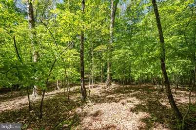 Letcher Road E, Brandywine, MD 20613 - Photo 3