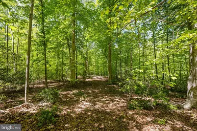 Letcher Road E, Brandywine, MD 20613 - Photo 5