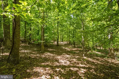 Letcher Road E, Brandywine, MD 20613 - Photo 1