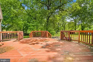 8803 63rd Ave, College Park, MD 20740 - Photo 35