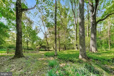 9220 Croom Acres Terrace, Upper Marlboro, MD 20772 - Photo 53