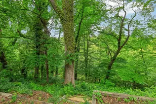 221 Patuxent Rd, Laurel, MD 20707 - Photo 29