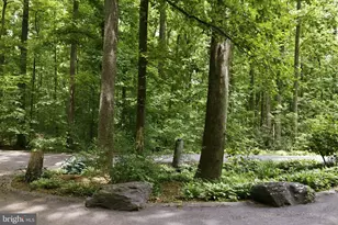 8404 Hollow Tree Ln, Upper Marlboro, MD 20772 - Photo 83
