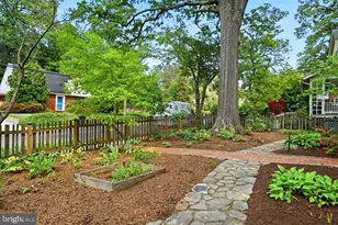 4003 Oglethorpe St, Hyattsville, MD 20782 - Photo 3