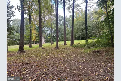 10801 Electric Avenue, Glenn Dale, MD 20769 - Photo 3