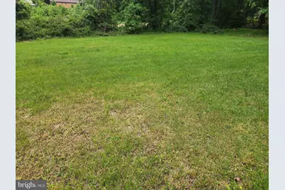 6208 Walton Avenue, Suitland, MD 20746 - Photo 3