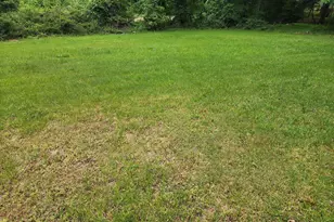 6208 Walton Ave, Suitland, MD 20746 - Photo 3