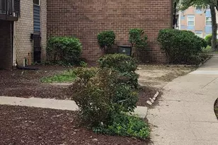 3843 St Barnabas Rd, Suitland, MD 20746 - Photo 23