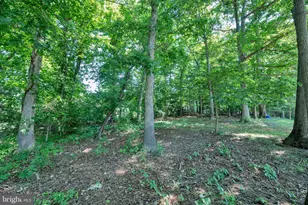 8812 Churchfield Ln, Laurel, MD 20708 - Photo 25