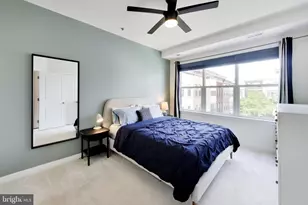 4550 Longfellow St, Hyattsville, MD 20781 - Photo 19
