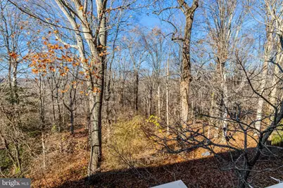 13803 Stroh Court, Accokeek, MD 20607 - Photo 51