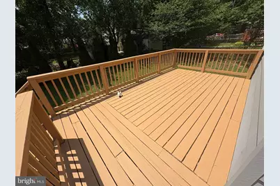 4903 Hollywood Road, College Park, MD 20740 - Photo 13