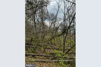 Hill Road, Hyattsville, MD 20785 - Photo 1