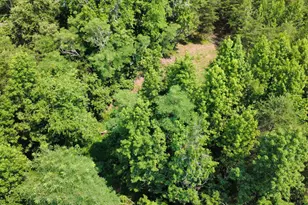 17737 Horsehead Rd, Brandywine, MD 20613 - Photo 17