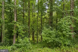5609 San Juan Dr, Clinton, MD 20735 - Photo 27