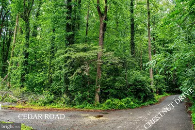 13304 Chestnut Drive, Bowie, MD 20720 - Photo 5