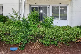 1009 Chillum Rd, Hyattsville, MD 20782 - Photo 29