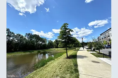 5602 Little Branch Run, Hyattsville, MD 20782 - Photo 5