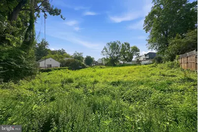 6907 Olson Road, Takoma Park, MD 20912 - Photo 7