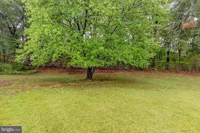 8513 Carrollton Parkway, Hyattsville, MD 20784 - Photo 41
