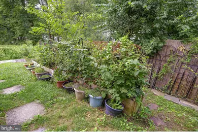 11 Hillside Road, Greenbelt, MD 20770 - Photo 43