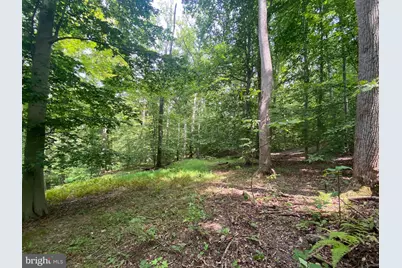 504 Holly Road, Fort Washington, MD 20744 - Photo 3