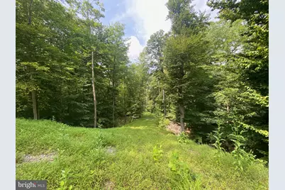 504 Holly Road, Fort Washington, MD 20744 - Photo 5