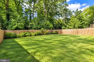 7304 15th Ave, Takoma Park, MD 20912 - Photo 33