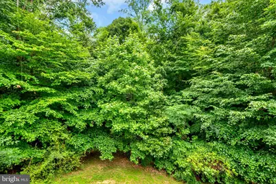 17304 Newton Court, Upper Marlboro, MD 20772 - Photo 39