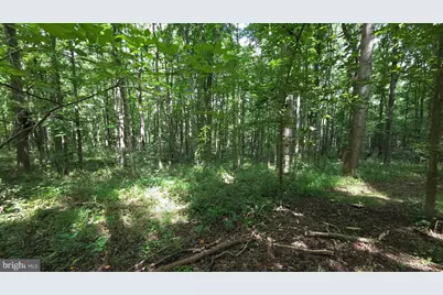 12223 Molly Berry Rd., Upper Marlboro, MD 20772 - Photo 13