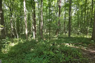 12223 Molly Berry Rd, Upper Marlboro, MD 20772 - Photo 15