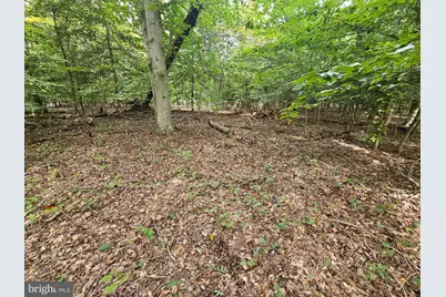 Sanford Drive, Accokeek, MD 20607 - Photo 7