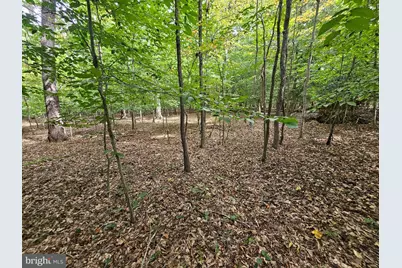 Sanford Drive, Accokeek, MD 20607 - Photo 13