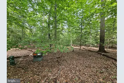 Sanford Drive, Accokeek, MD 20607 - Photo 5