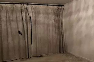 5346 N Center Dr, Greenbelt, MD 20770 - Photo 13