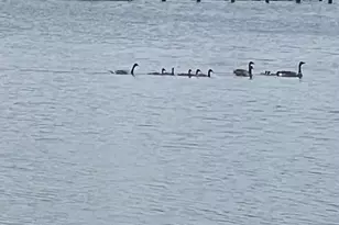 241 Jessica Lynn Ave, Stevensville, MD 21666 - Photo 27