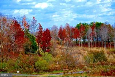 170 Harrier Way #22, Chester, MD 21619 - Photo 75