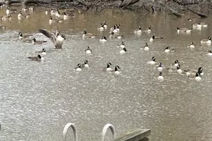 109 Recovery Dr E, Centreville, MD 21617 - Photo 15