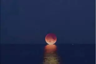 47 Queen Anne Way, Chester, MD 21619 - Photo 41