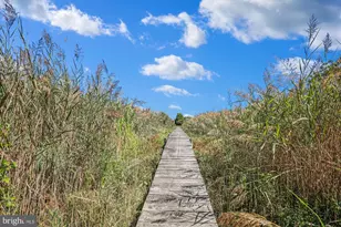 635 Dominion Rd, Chester, MD 21619 - Photo 11