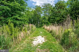 135 Nauset Ln, Chester, MD 21619 - Photo 81