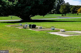 102 Golf Ct, Stevensville, MD 21666 - Photo 39