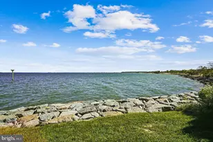 3000 Herons Nest Wy, Chester, MD 21619 - Photo 45