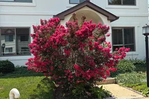 54 Queen Caroline Ct, Chester, MD 21619 - Photo 1