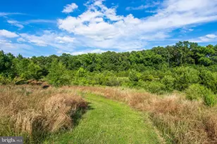 202 Mchenny Ct, Chester, MD 21619 - Photo 63