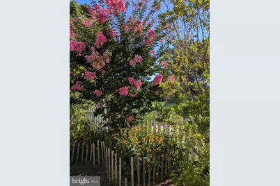 104 Windsor Avenue, Centreville, MD 21617 - Photo 69